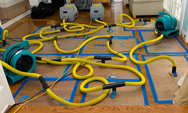 Professional Water Damage Restoration technician working in Wheatland, WY